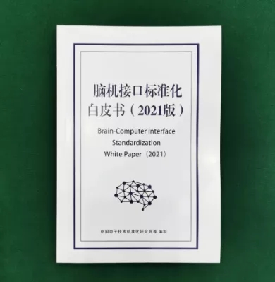 2021年度腦機接口重大事件和進展匯總
